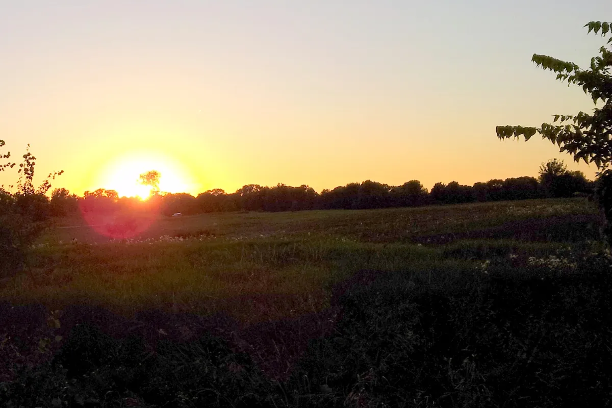 Sunset over a meadow in Lake Elmo Park Reserve, Lake Elmo, Minnesota